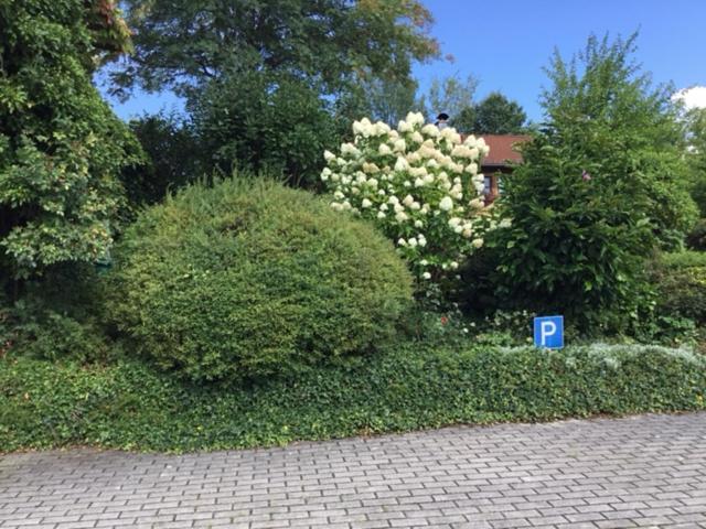 Bayerischer Wald - Balbersdorf Waffenbrunn ภายนอก รูปภาพ